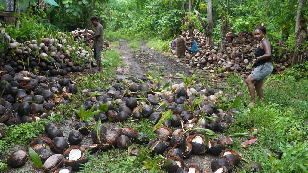 More than 80 years after World War Two, Solomon Islands remains one of the most heavily mine-contaminated places in the Pacific.